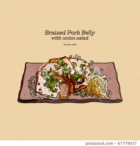 braised pork belly, hand draw sketch vector. 67779037