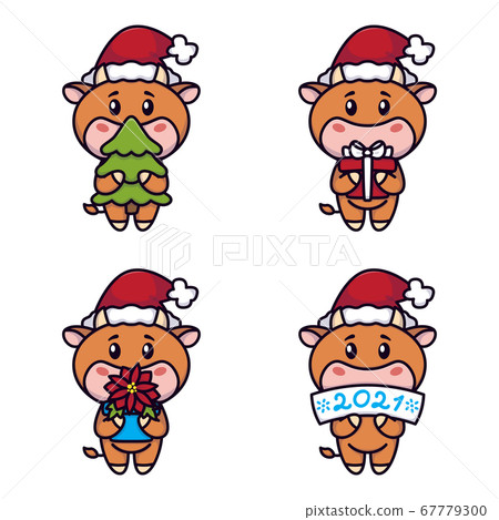 Year of the ox. Happy Cows set. Cute bulls holding a spruce tree, gift, poinsettia flower, sign. New year and merry christmas card. Vector illustration. Chinese zodiac symbol of the year 2021. 67779300
