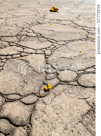 stamped concrete pavement, boulders stones pattern, flooring exterior, decorative gray cement paving stamped concrete pavement, boulders stones pattern, flooring exterior, decorative gray cement paving 67779856