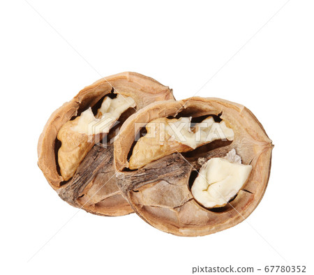 Walnuts Isolated On White Background Walnuts Isolated On White Background 67780352