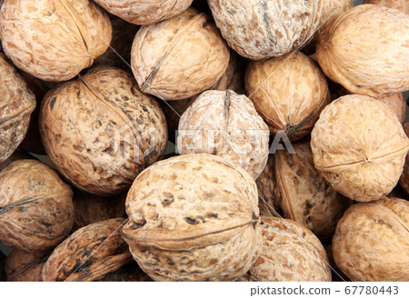 Close-Up Of Walnuts In A Nearby Store Close-Up Of Walnuts In A Nearby Store 67780443