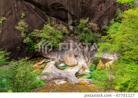 Oketsuya, the Fujikawachi Valley in the fresh green season Oketsuya, the Fujikawachi Valley in the fresh green season 67781127