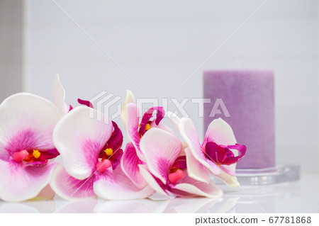 Shower supplies. Composition cosmetic products of spa treatment. Shower supplies. Composition cosmetic products of spa treatment. 67781868