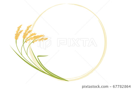 Illustration of grown rice and round frame Illustration of grown rice and round frame 67782864
