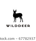 wild deer logo design 67782937