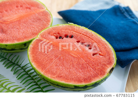 Kodama水印 67783115