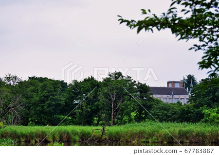 群馬縣Morinji沼澤風景 67783887