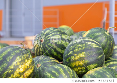 Watermelons Produce Watermelons Produce 67784781