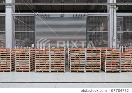 Tomatoes Storage Tomatoes Storage 67784782