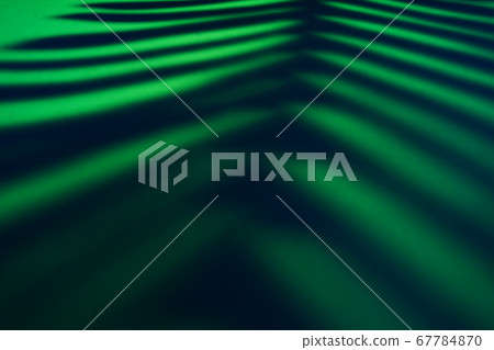 Beautiful monstera leaves shadow colored background in artificial light 67784870