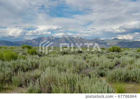Long valley next the Lake Crowley, Mono County, California. USA. 67786864