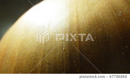 Onions [macro shooting] 67786868