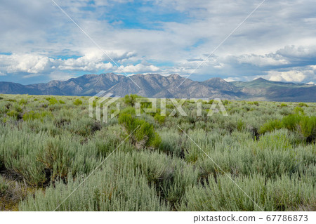 Long valley next the Lake Crowley, Mono County, California. USA. Long valley next the Lake Crowley, Mono County, California. USA. 67786873