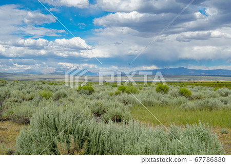 Long valley next the Lake Crowley, Mono County, California. USA. 67786880