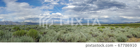 Long valley next the Lake Crowley, Mono County, California. USA. 67786910