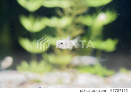 水族館很有趣 水族館很有趣 67787155