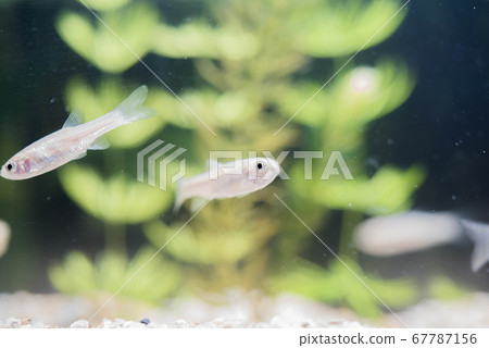水族館很有趣 水族館很有趣 67787156