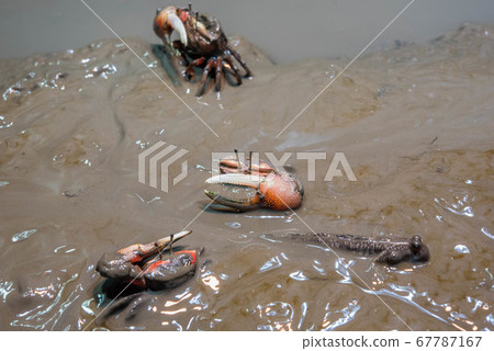 Aquarium is fun Aquarium is fun 67787167