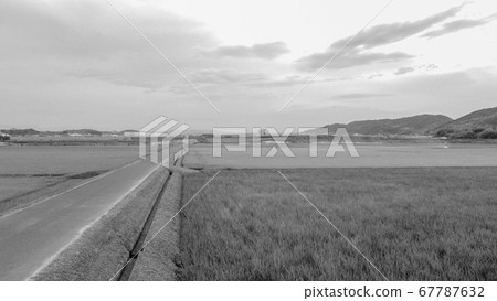 [棕褐色]從天空三重的鄉村道路的鄉村景色 67787632