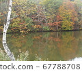 Nagano Togakushi Kagamiike autumn scenery 67788708