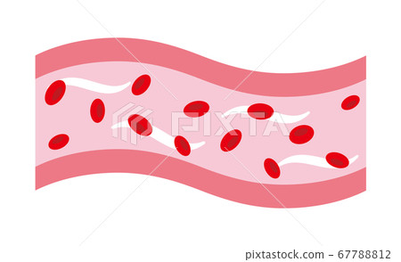 血管健康 血管健康 67788812