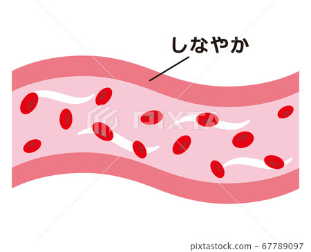 血管健康 血管健康 67789097