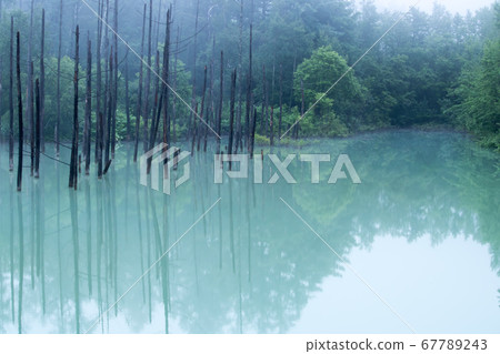 北海道藍塘 北海道藍塘 67789243