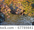 Autumn landscape of waterside Tomomiji 67789841