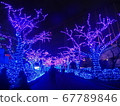 Illuminations of Yomiuri Land 67789846
