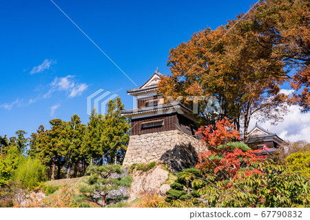 《長野縣》上田城跡公園南塔秋葉 67790832