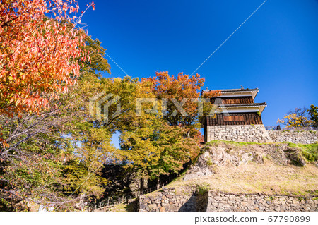 《長野縣》上田城跡公園西垣秋葉 67790899