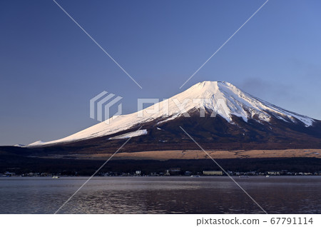 一月的早晨，富士（地點：長池水上公園附近的山中湖） 67791114