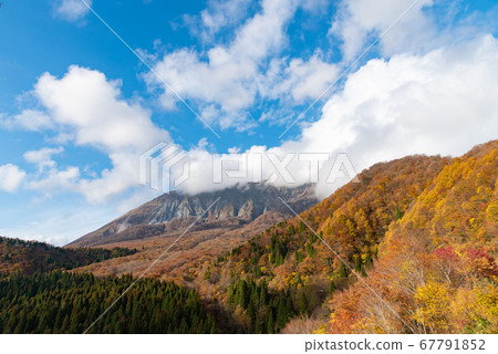 山 山 67791852