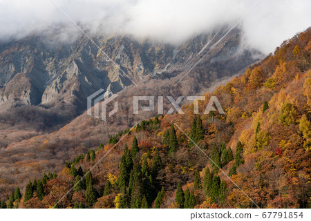 山 山 67791854