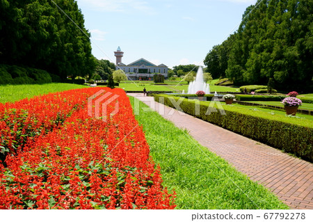 French garden French garden 67792278