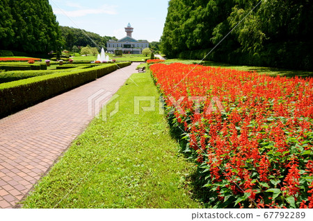 法國花園 法國花園 67792289