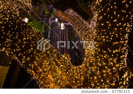Decorative outdoor string lights hanging on tree 67792323