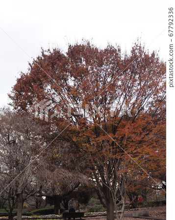 Winter bench 67792336