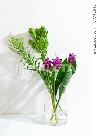Curcuma flower vase 67792683