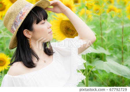 A woman in a sunflower field and a white dress A woman in a sunflower field and a white dress 67792729