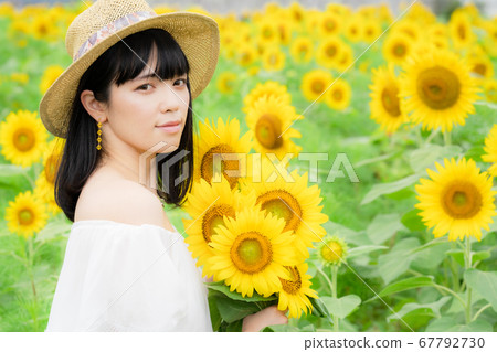 A woman in a sunflower field and a white dress 67792730