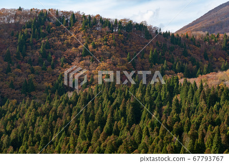 大山 大山 67793767