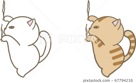 白貓和棕虎斑貓 67794238