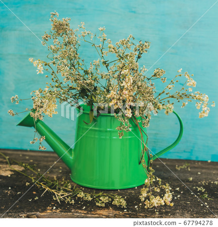 Wildflowers in a green watering can on a wooden Wildflowers in a green watering can on a wooden 67794278