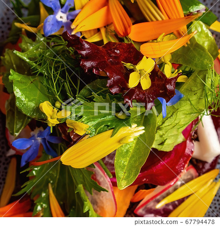 Close Up Of Bush Food Salad 67794478