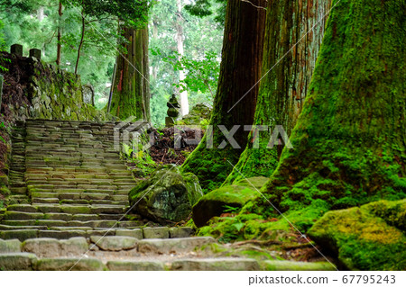 通往室野寺Okunoin（奈良縣宇田市）的石階 67795243