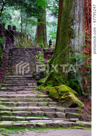 通往室野寺Okunoin（奈良縣宇田市）的石階 67795247