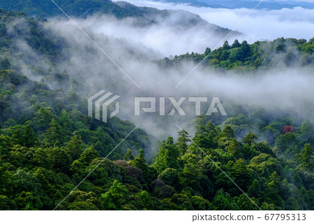 Mt. Wakakusa and sea of clouds (Nara city) 67795313