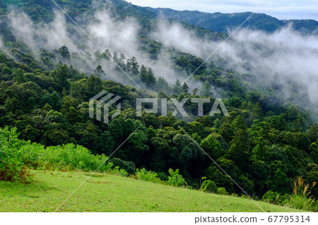 Mt. Wakakusa and sea of clouds (Nara city) 67795314