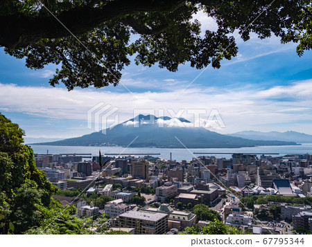Sakurajima seen from Shiroyama Park in Kagoshima Prefecture 67795344